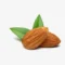 Two whole raw almonds with fresh green leaves behind them