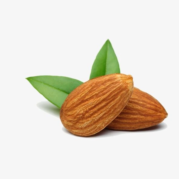 Two whole raw almonds with fresh green leaves behind them