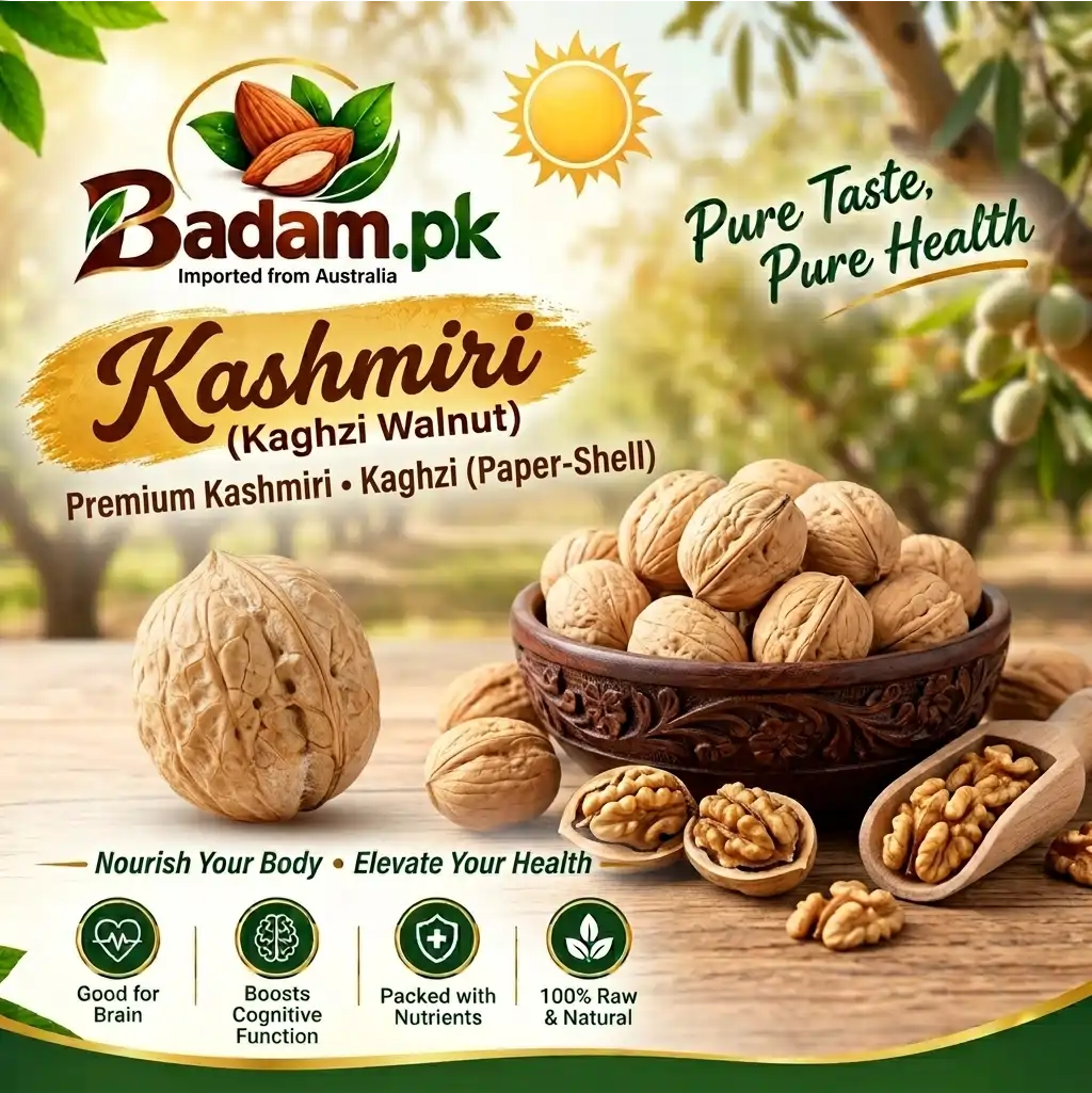 Kashmiri Akhrot, Kaghzi Akhrot, Kashmiri Walnuts, Kashmiri Kaghzi Akhrot, Premium Akhrot, Akhrot with Shell, Walnuts with Shell, Thin Shell Walnuts, Natural Walnuts, Premium Walnuts, Quality Akhrot, Akhrot Pakistan, Buy Akhrot Online, Akhrot Price in Pakistan, Kaghzi Akhrot Price, Kashmiri Dry Fruits, Walnuts Online Pakistan, Akhrot Online Karachi, Premium Dry Fruits, Dry Fruits Pakistan, Walnut Kernels, Walnuts for Snacking, Walnuts for Baking, Omega 3 Foods, Mixed Dry Fruits, Online Dry Fruit Store, Badam.pk, Barki Corporation, Traditional Akhrot, Quality Dry Fruits Kashmiri Kaghzi paper-shell walnuts advertisement by Badam.pk highlighting health and cognitive benefits
