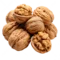 A pile of whole and partially cracked walnuts showing the nutmeat inside